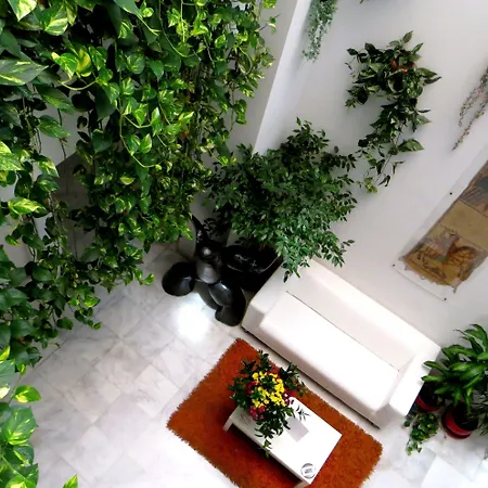 Un Patio Al Sur
