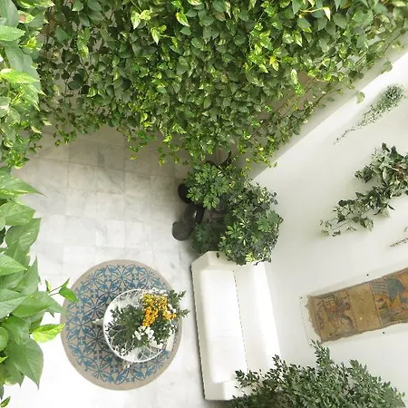 Un Patio Al Sur 2* Sevilla
